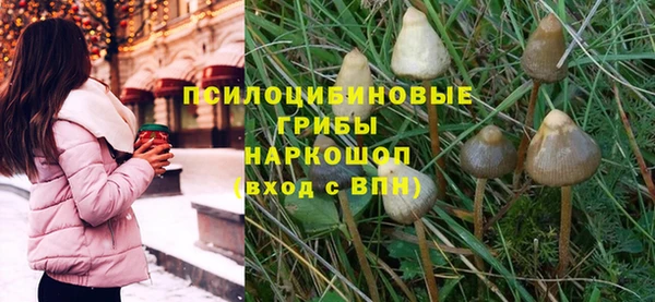 mix Аркадак
