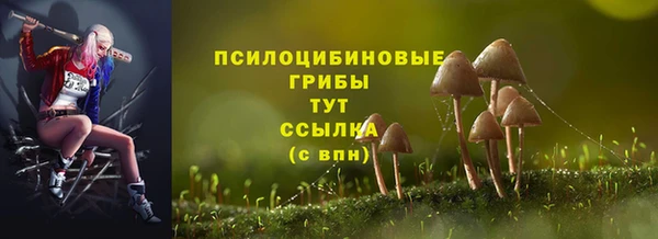 мдпв Арсеньев