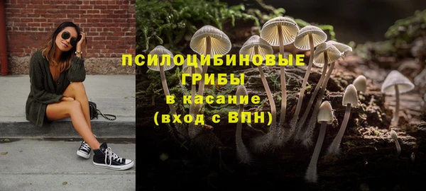 мдпв Арсеньев