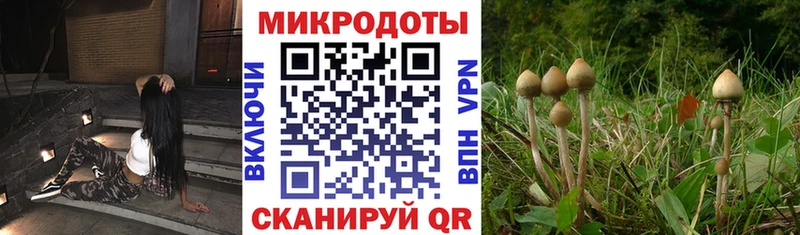 Галлюциногенные грибы прущие грибы  Белозерск 
